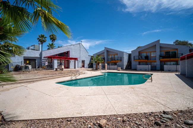 Photo - Phoenician Palms