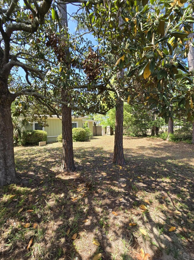 Photo - 48 Ferry Rd NE