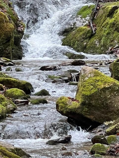 Photo - 615 Stockton Rd