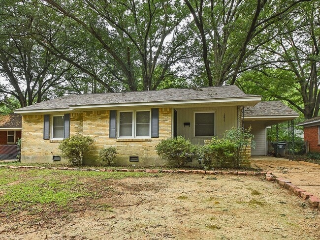 Building Photo - Updated 3 bed, 1.5 bath near U of M.