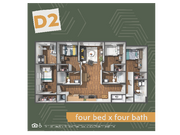 D2