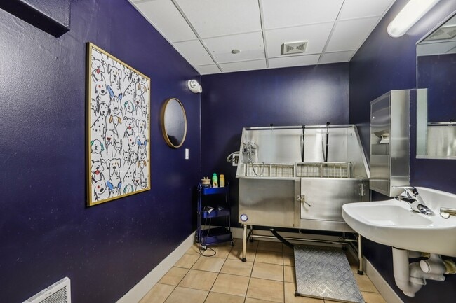 Estación de lavado de perros - City Green Apartments