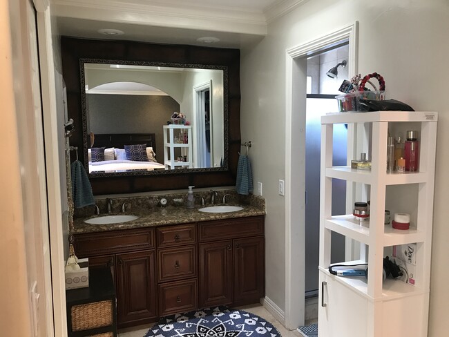 Master Bath - 2378 Villanova Rd