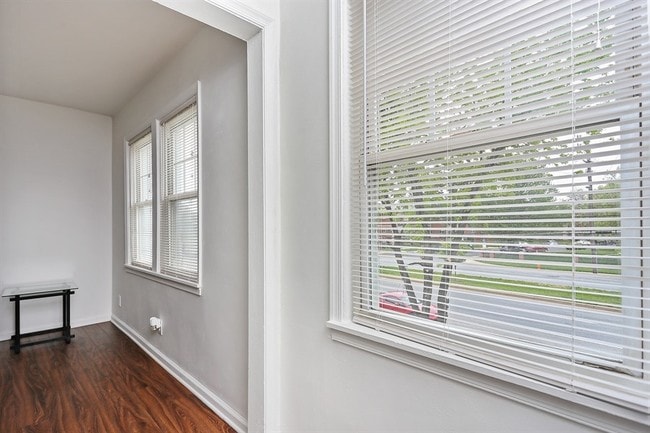 Photo - Pangea Springs