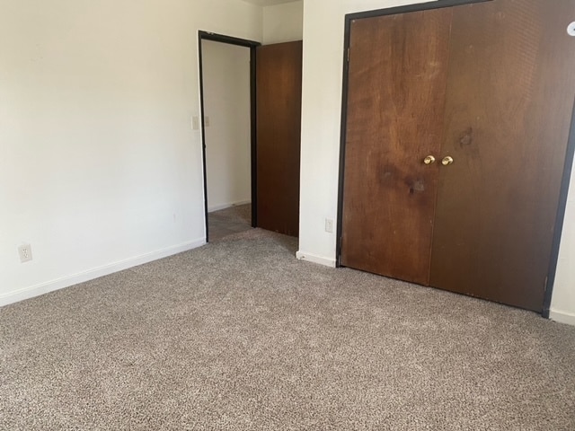 Photo - Cypress Gardens