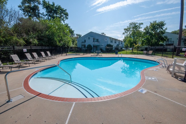 Photo - Churchland Forest