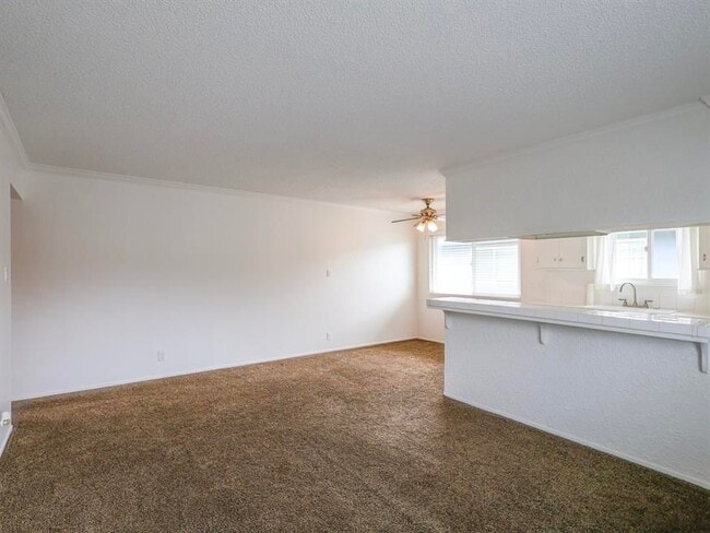 Photo - 4771 Capay Dr Unit 4