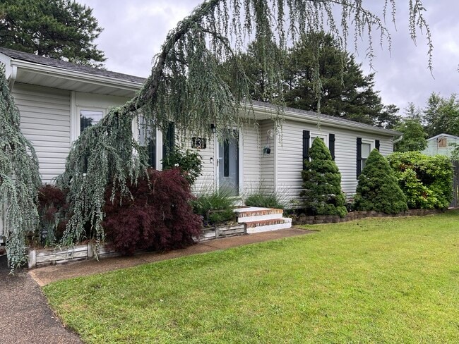 Photo - 131 Mt Vernon Rd House