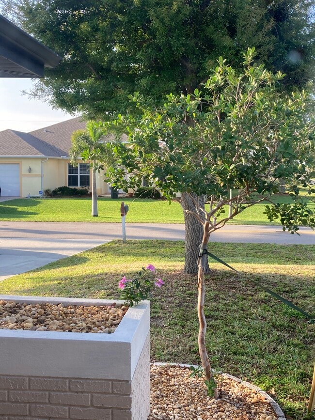 View of front yard from inside home - 901 SE 29th St