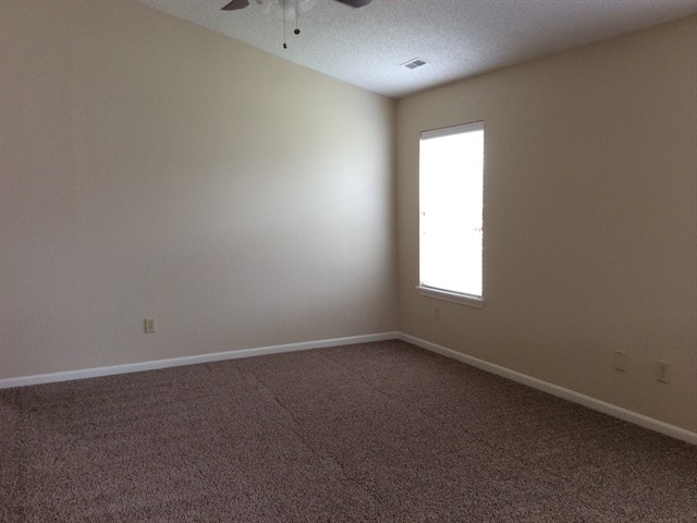 Photo - 10313 Cerulean Dr