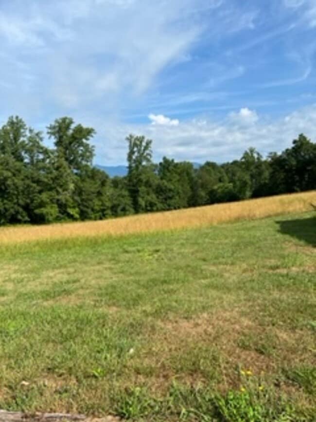 Photo - Old Fort Rental