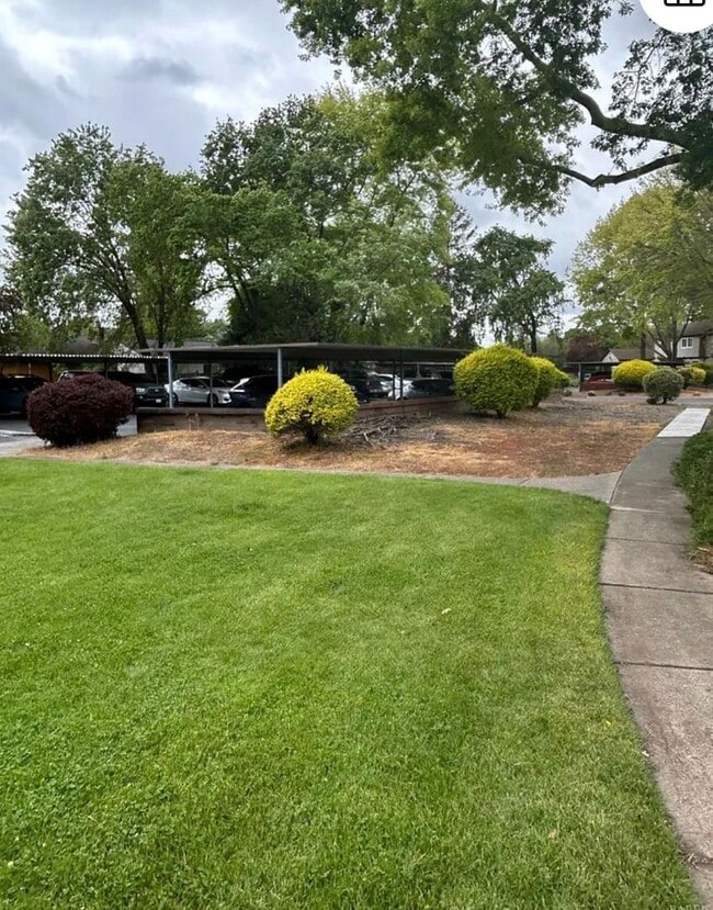 311 Algiers Ct