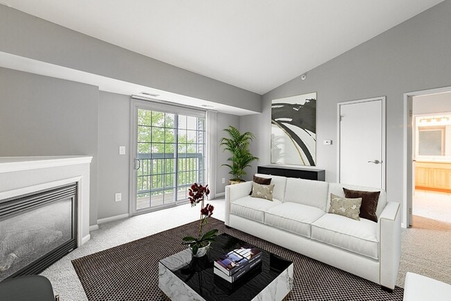 Photo - Somerset Park