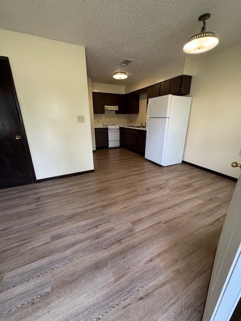 Dining room And Kitchen Area