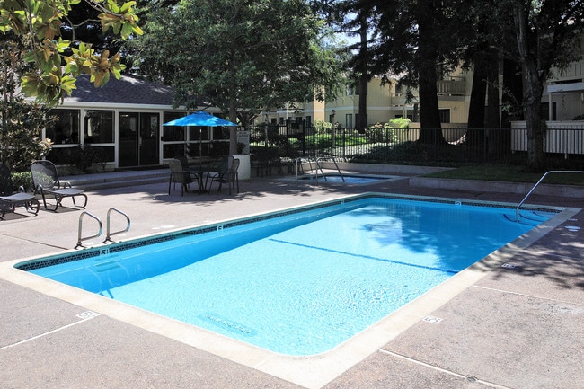 Photo - Central Park