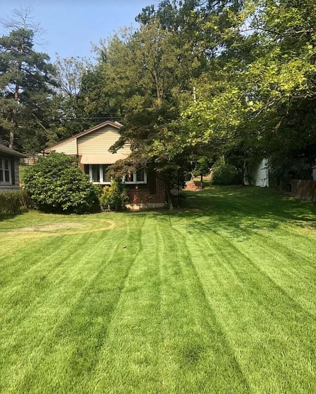 Large Side/Backyard