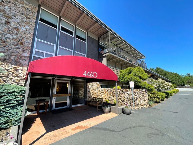 Comfortable Raleigh Park Plaza Condo with ... - Comfortable Raleigh Park Plaza Condo with ...