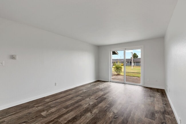 Photo - Rainier Meadow