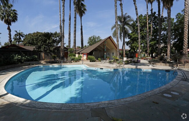 The Islander Apartments - The Islander Apartments
