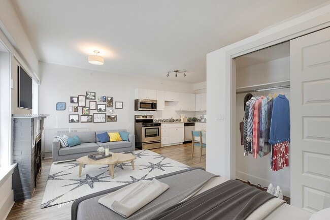 Photo - The Barrister