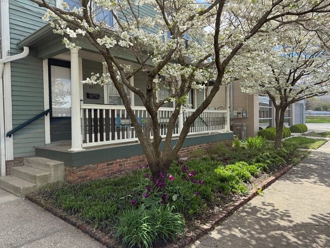 Front porch - 227 Fulton St