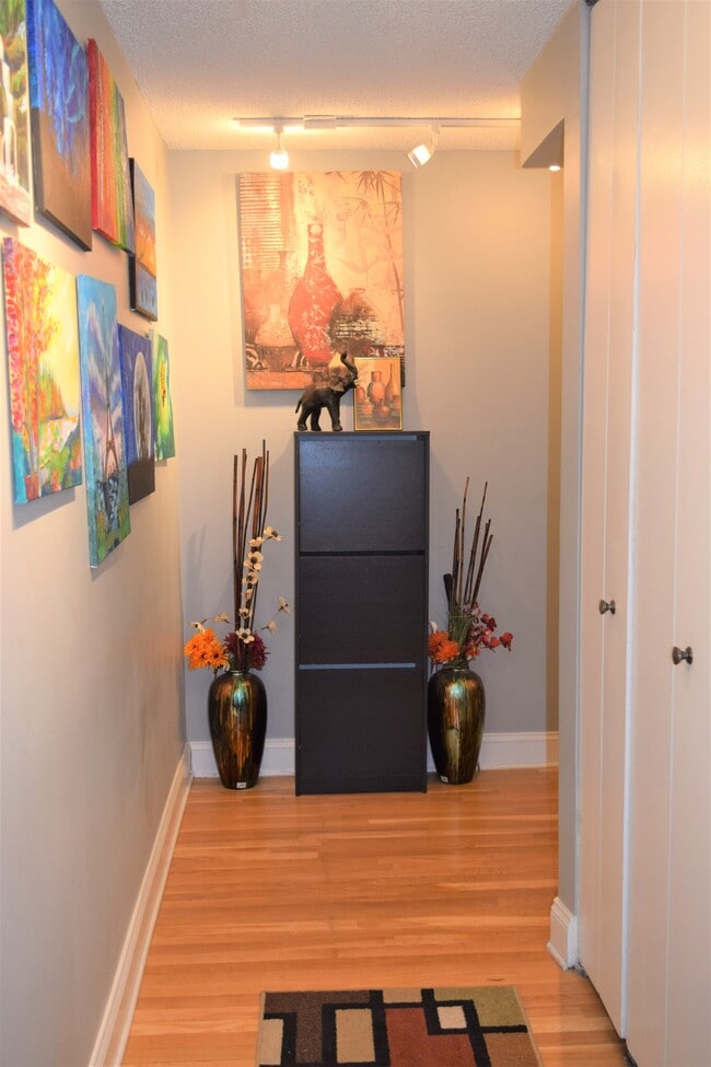 Condo Entrance - Hallway - 70 W Huron St Unit 903