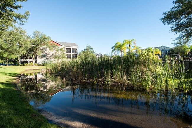 Enclave At Wesley Chapel