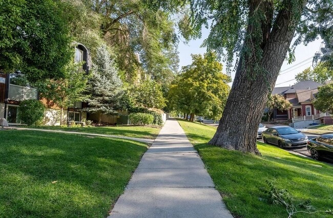 Photo - 438 N Center St Unit 102