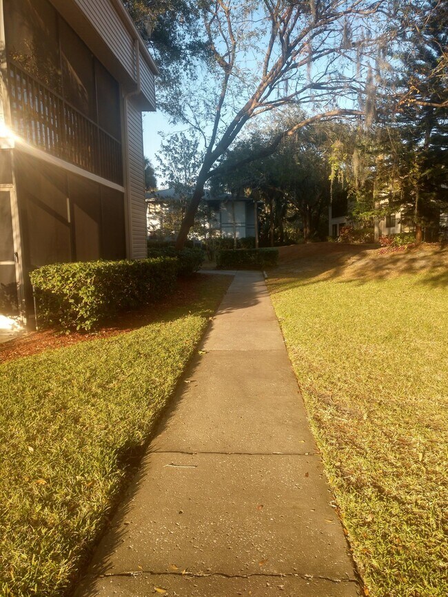 Photo - 2 Bedroom/2 Bath Palm Harbor Condo Unit #264