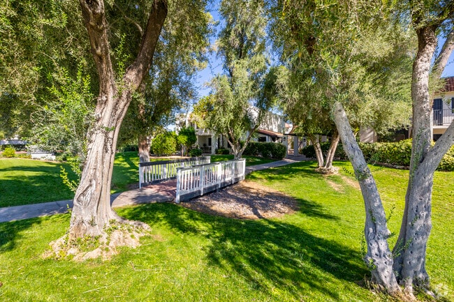Photo - Orange Tree Villa Apartments