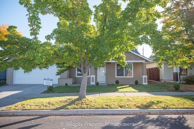 Photo - Light & Bright Single Level Home!