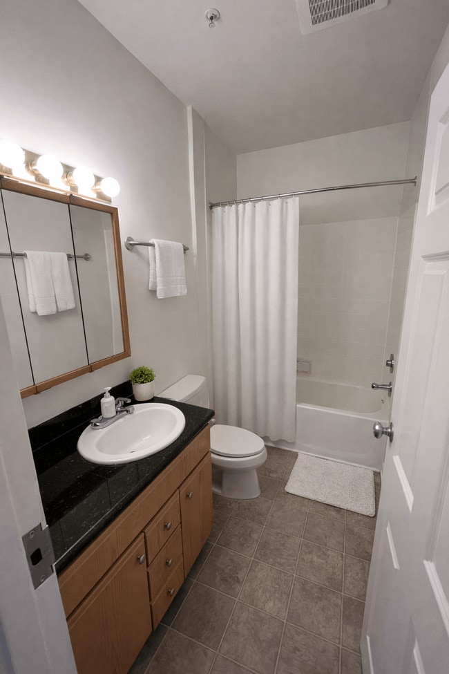 Evellien & Provence: Townhomes + Apartments Student Housing