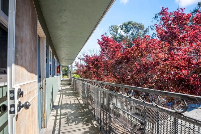 Photo - Unit 204