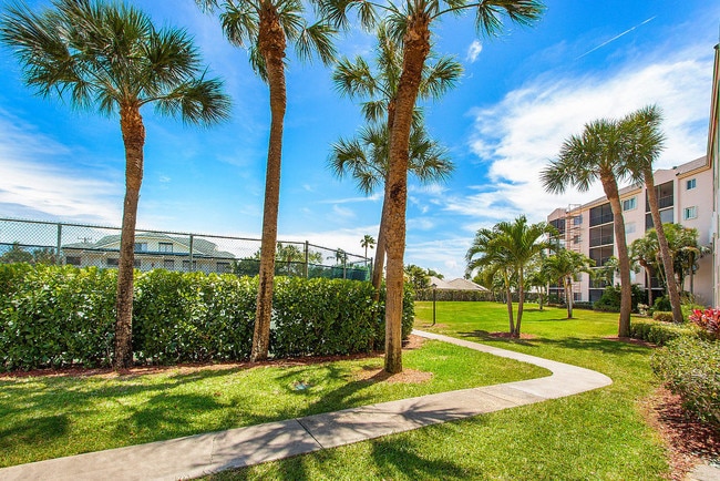 Photo - 275 Palm Ave Unidad A201