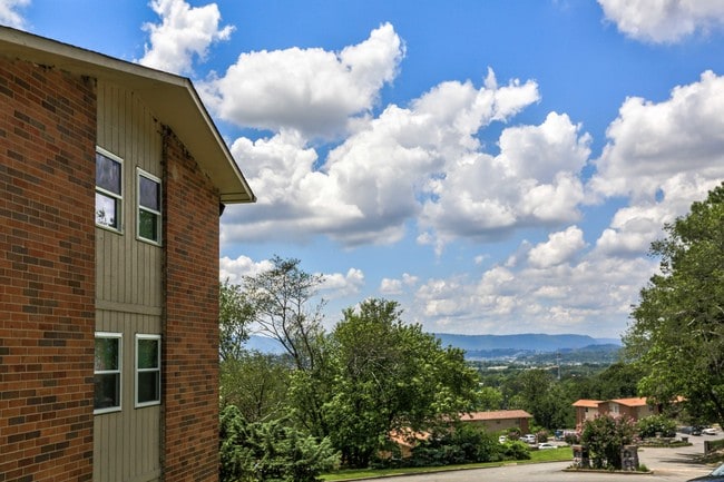 City View Apartments