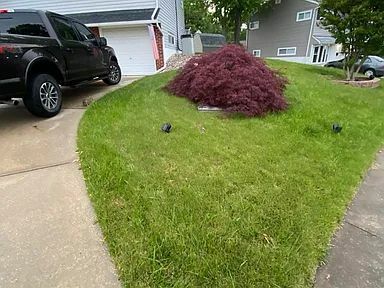 Photo - 5812 Heron Dr