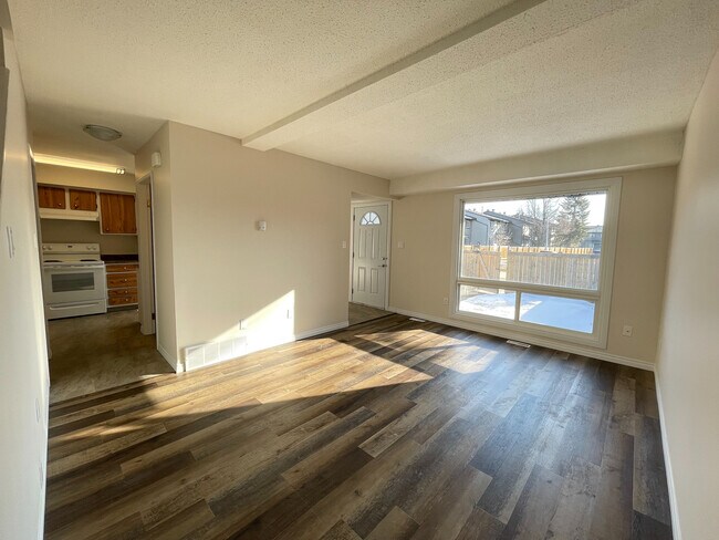 IMG_1150 - Cricket Court