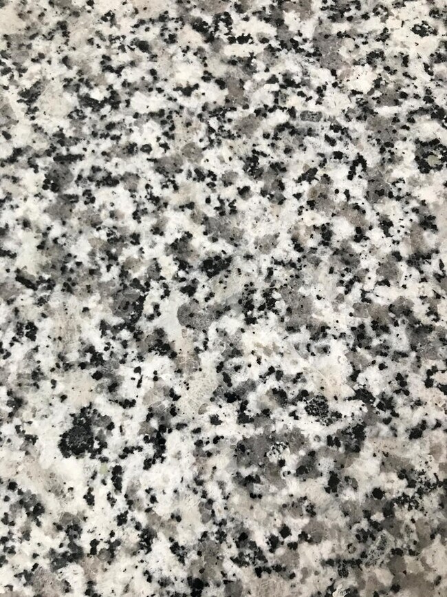 SS Adams Luxury Rentals Neptune, NJ