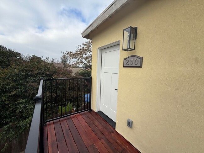 Photo - DSI250 Unit 250