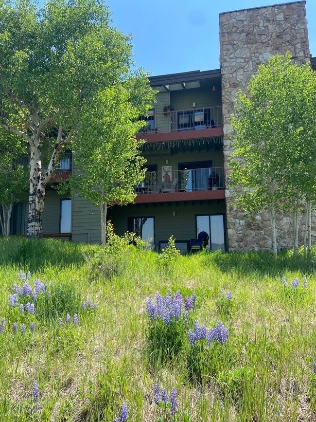 Building Photo - 35 Arapahoe Cir