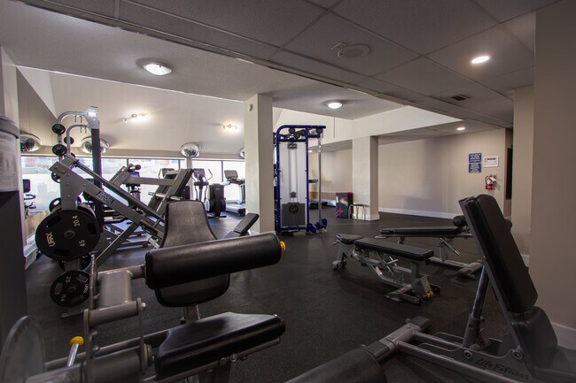 Photo - The David Thompson