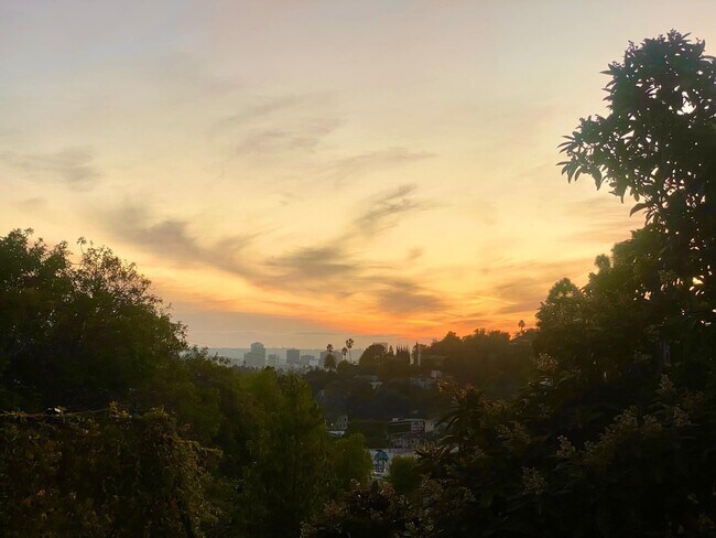 Photo - 2115 Duane St Unit 2115