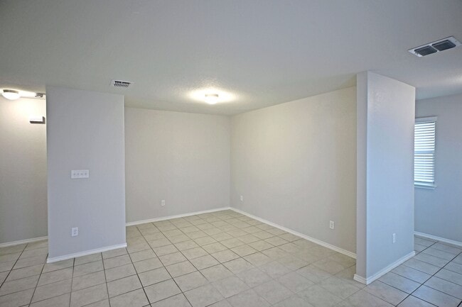 Photo - 458 Russian Sage