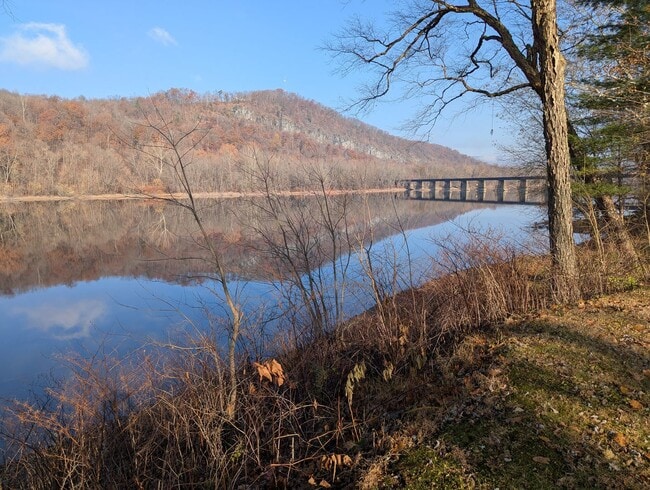 Photo - Riverfront Bungalow