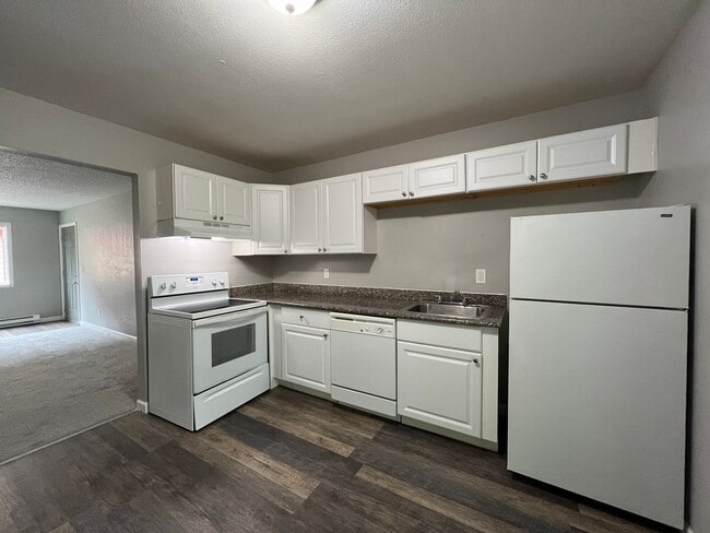 Photo - Cascade Firs