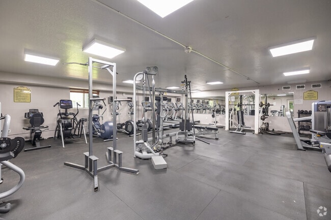 Paradise Isles Apartments - Fitness Center - Paradise Isles Apartments