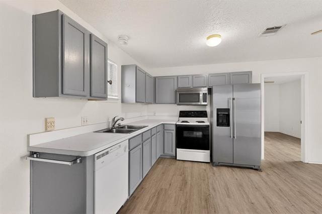 Building Photo - 150 Lobo Ln Unit B