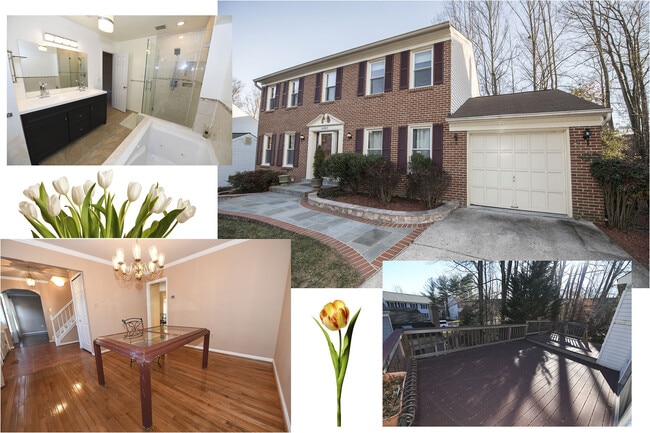 Building Photo - Gorgeous 4 BR 2+2 Baths Colonial - Finishe... Rental