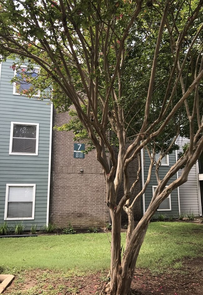 Photo - Great Location 2/2 BACKS TO NORTHEN WALNUT CREEK TRAIL Unit 267