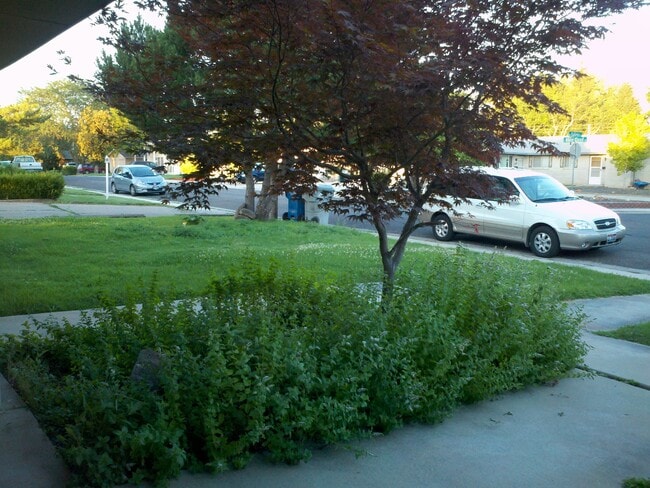 Building Photo - 479 White Cloud Dr